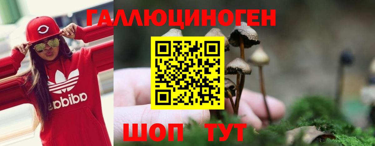 Псилоцибиновые грибы MAGIC MUSHROOMS Якутск